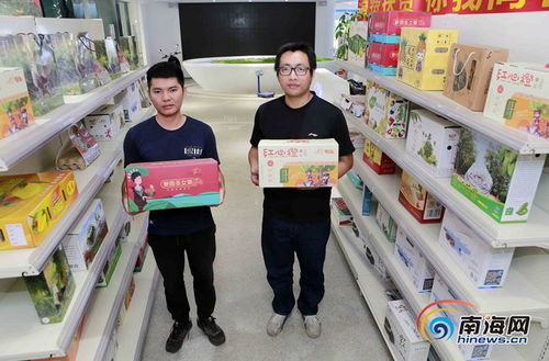 昌江互联网农业小镇 电商快车助推农产品销售新篇章