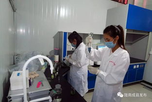 陇南首家供销联社合资农产品销售公司在成县成立，助力农产品销售