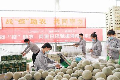 农业农村部点赞阿里“爱心助农”项目 成功售出超3万吨滞销农产品