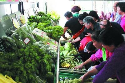 破解农产品滞销难题 三大模式与技巧助农增收