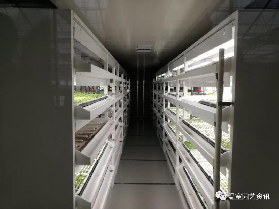 探秘京东植物工厂 产销一体化，如何破解农产品销售难题