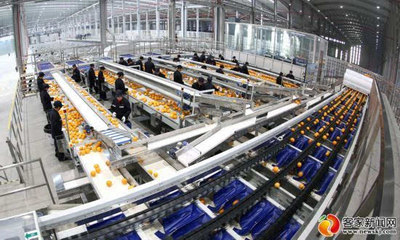 农夫山泉信丰工厂竣工投产，年销售预计达4.5亿元，助力农产品销售新篇章