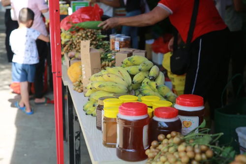 海口消费扶贫活动真香！农产品销售火爆，多种农产品抢售一空