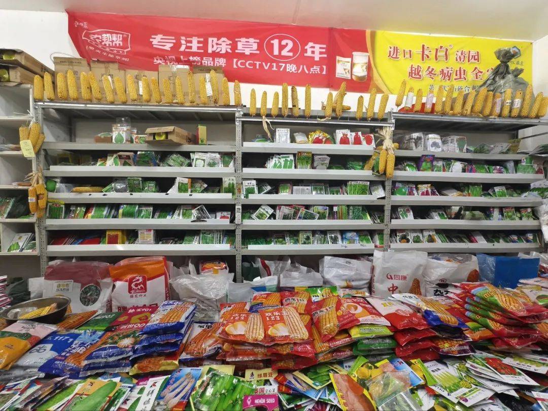 春耕备耕忙 农资销售旺 种子港口带动水稻等农产品销售