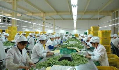 行唐县宇师傅农副产品加工厂 规模扩展，创业加盟新机遇，携手共创农业新篇章